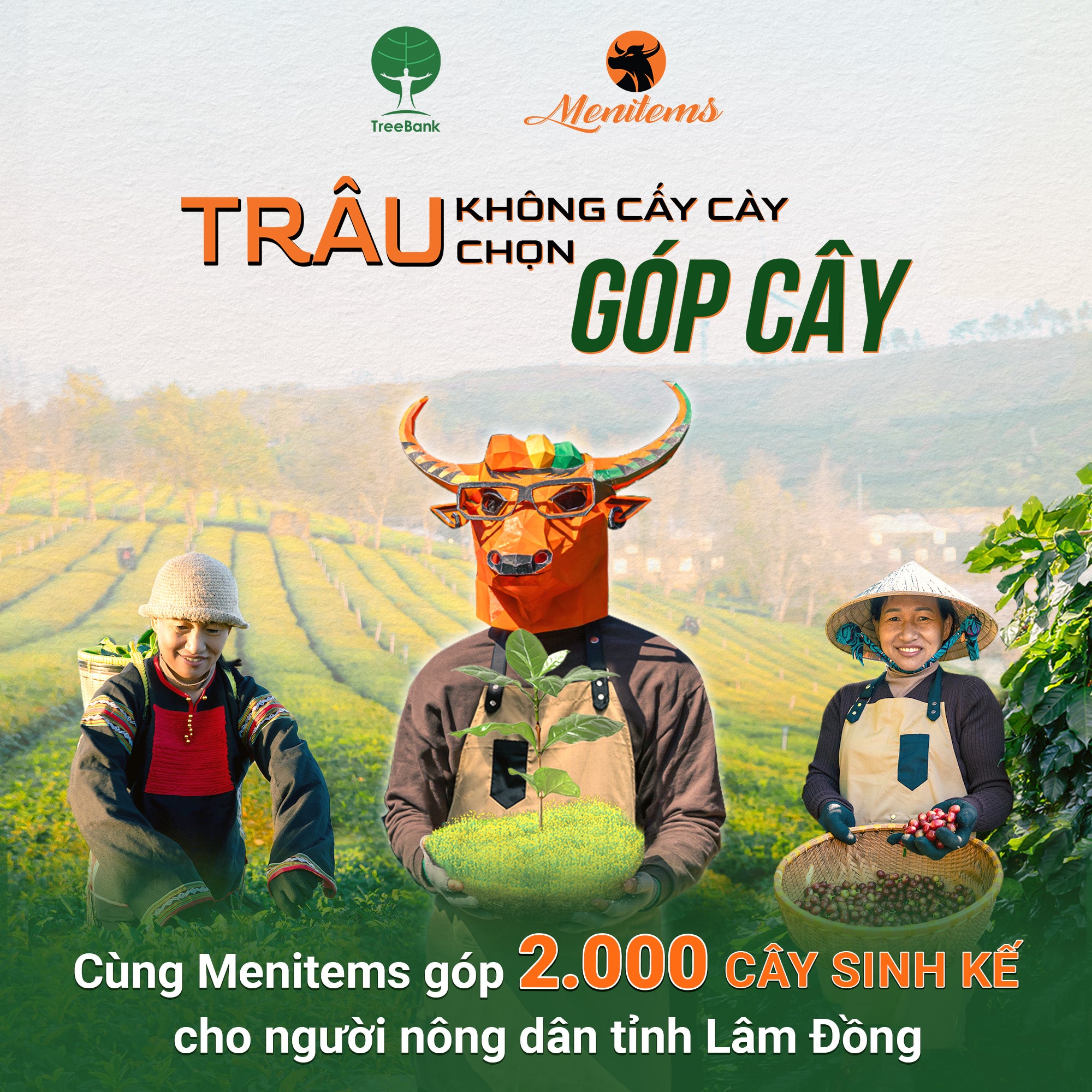 “TRÂU KHÔNG CẤY CÀY - TRÂU CHỌN GÓP CÂY” - Mentiems đồng hành cùng TreeBank góp 2,000 cây sinh kế cho người dân Lâm Đồng